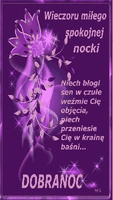 Fioletowe kwiaty miłego wieczoru